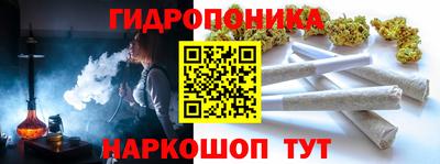 гашик Дубна