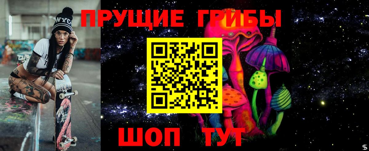 Псилоцибиновые грибы Cubensis Мичуринск